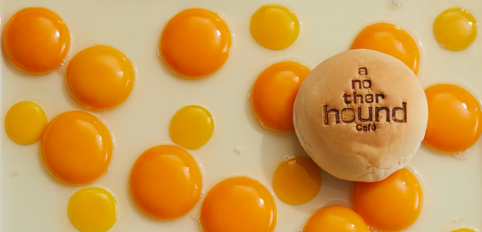 another_hound_header_about_us